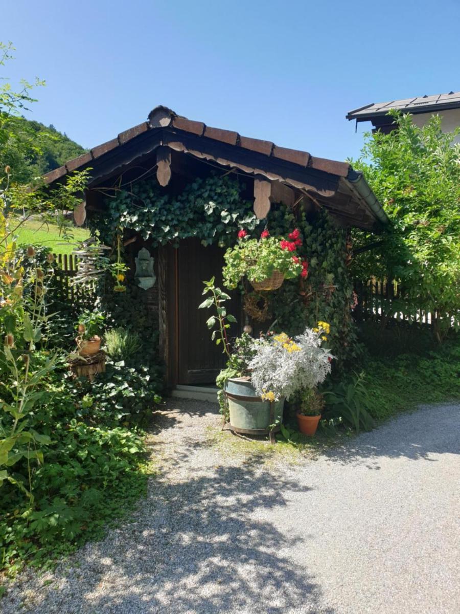 Apartment Haus Marienblick